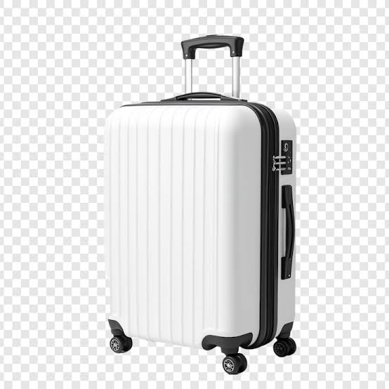 traveling Bags